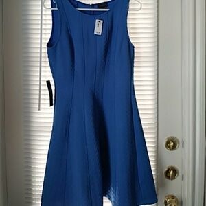 NWT $99.95 the limited beautiful small dress